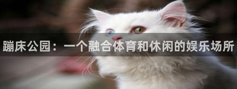 bbin视讯：蹦床公园：一个融合体育和休闲的娱乐场所