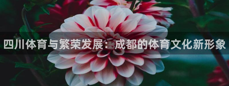 bbin视讯下：四川体育与繁荣发展：成都的体育文化新形象