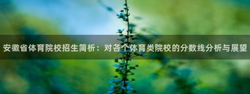 bbin视讯下