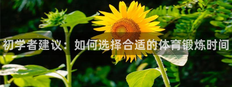 bbin视讯游戏平台