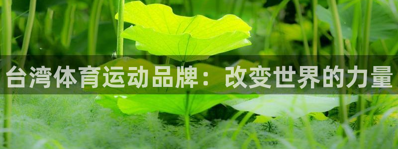 bbin视讯游戏官网