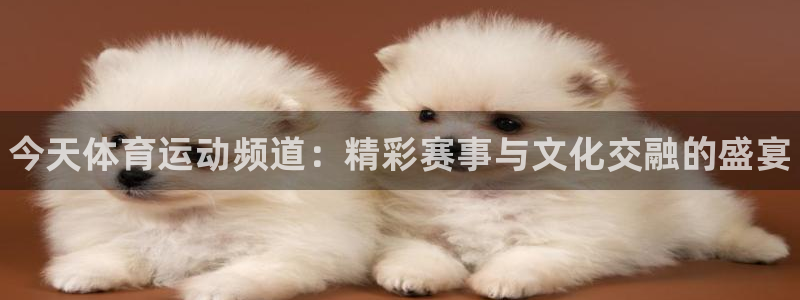 bbin视讯