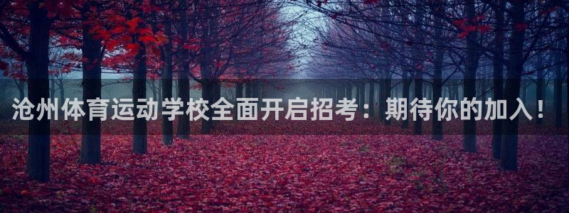 bbin视讯