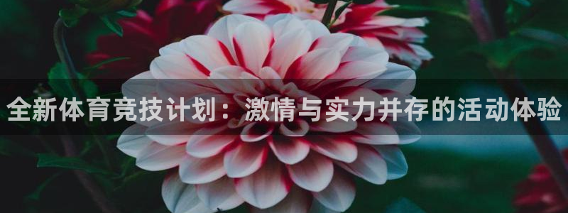 bbin视讯游戏官网