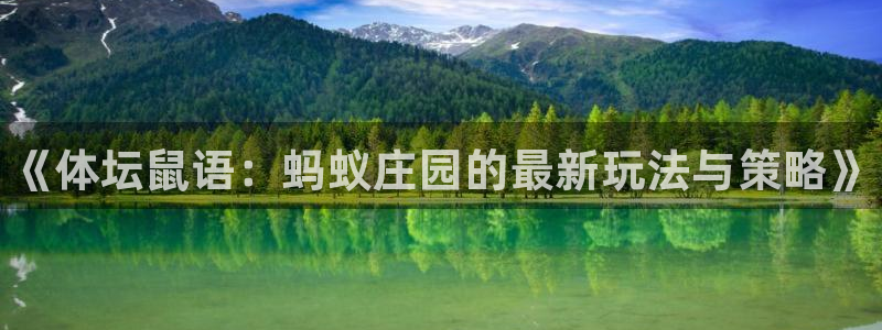 bbin视讯游戏平台