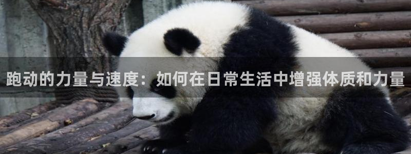 bbin视讯