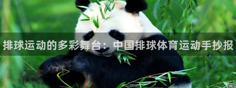 bbin视讯：排球运动的多彩舞台：中国排球体育运动手抄报