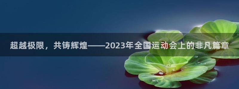 bbin视讯游戏平台：超越极限，共铸辉煌——2023年全国运动会上的非凡篇章