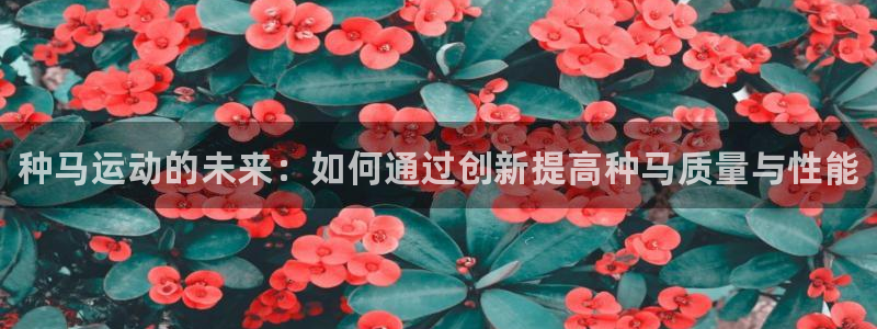 bbin视讯下：种马运动的未来：如何通过创新提高种马质量与性能