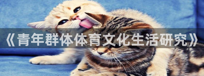 bbin视讯：《青年群体体育文化生活研究》