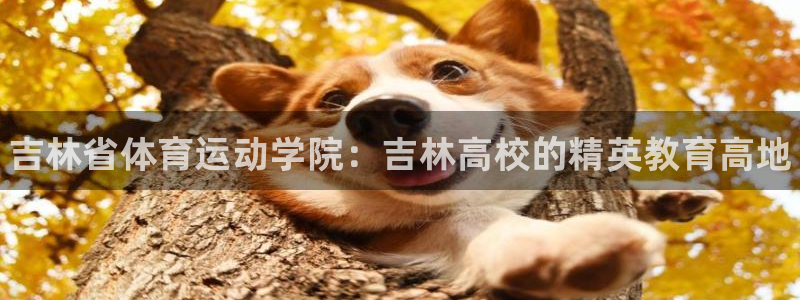 bbin视讯游戏官网：吉林省体育运动学院：吉林高校的精英教育高地