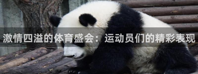 bbin视讯游戏平台：激情四溢的体育盛会：运动员们的精彩表现