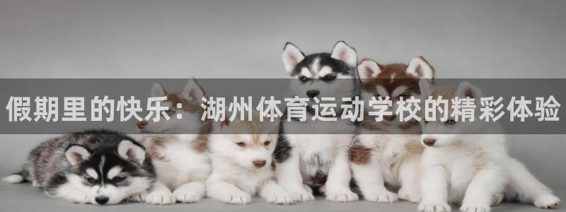 bbin视讯：假期里的快乐：湖州体育运动学校的精彩体验