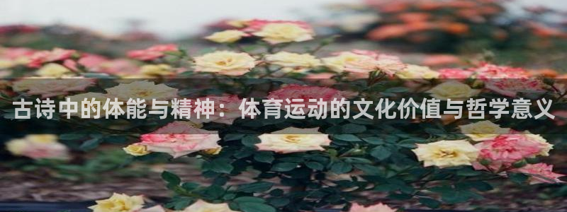 bbin视讯：古诗中的体能与精神：体育运动的文化价值与哲学意义