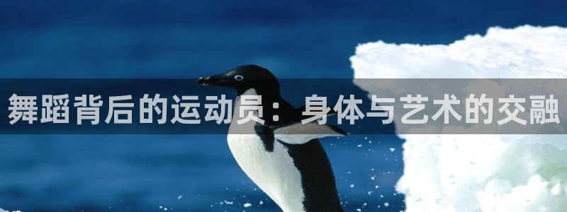 bbin视讯：舞蹈背后的运动员：身体与艺术的交融