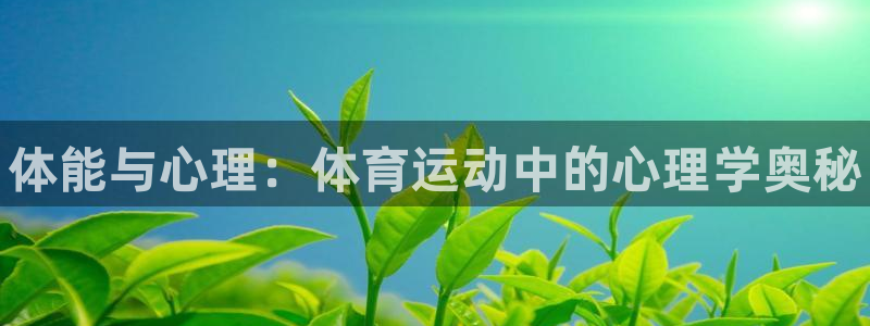 bbin视讯：体能与心理：体育运动中的心理学奥秘