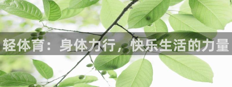 bbin视讯游戏官网：轻体育：身体力行，快乐生活的力量