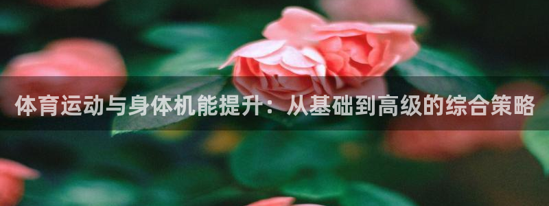 bbin视讯游戏平台：体育运动与身体机能提升：从基础到高级的综合策略