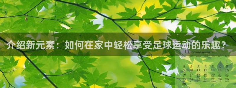 bbin视讯游戏官网：介绍新元素：如何在家中轻松享受足球运动的乐趣？