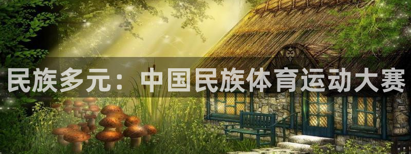 bbin视讯下：民族多元：中国民族体育运动大赛