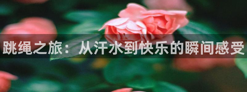 bbin视讯游戏官网：跳绳之旅：从汗水到快乐的瞬间感受