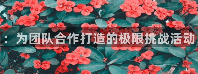 bbin视讯游戏平台：：为团队合作打造的极限挑战活动