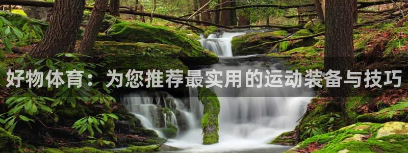 bbin视讯游戏平台：好物体育：为您推荐最实用的运动装备与技巧