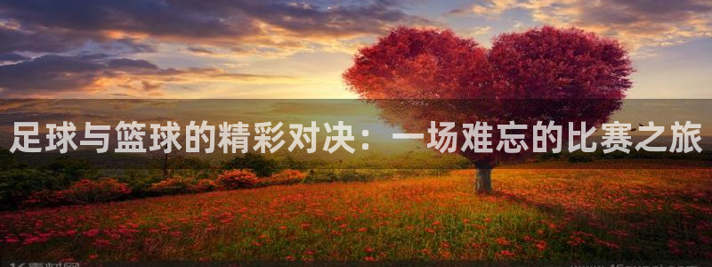 bbin视讯游戏官网：足球与篮球的精彩对决：一场难忘的比赛之旅