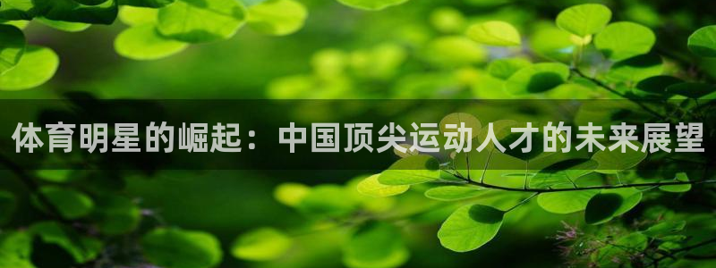 bbin视讯下：体育明星的崛起：中国顶尖运动人才的未来展望